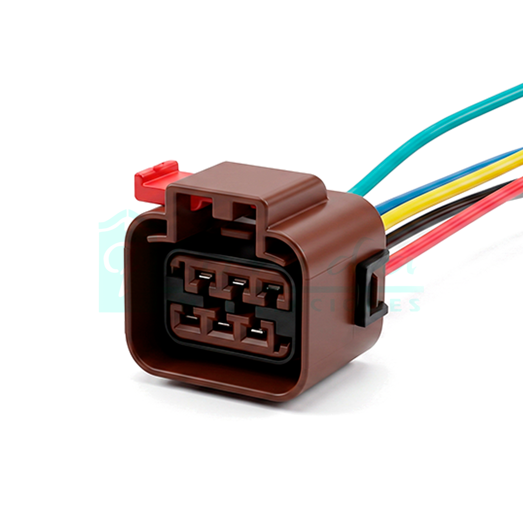 1073.CONECTOR (PACHA) CUERPO ACELERACION INYECTOR (2 PINES)