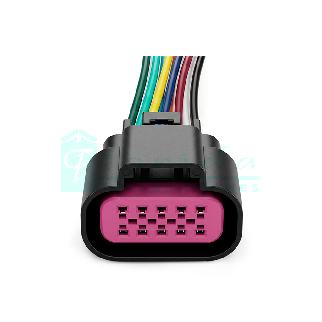 1191.CONECTOR (PACHA) (10 PINES)(HEMBRA)