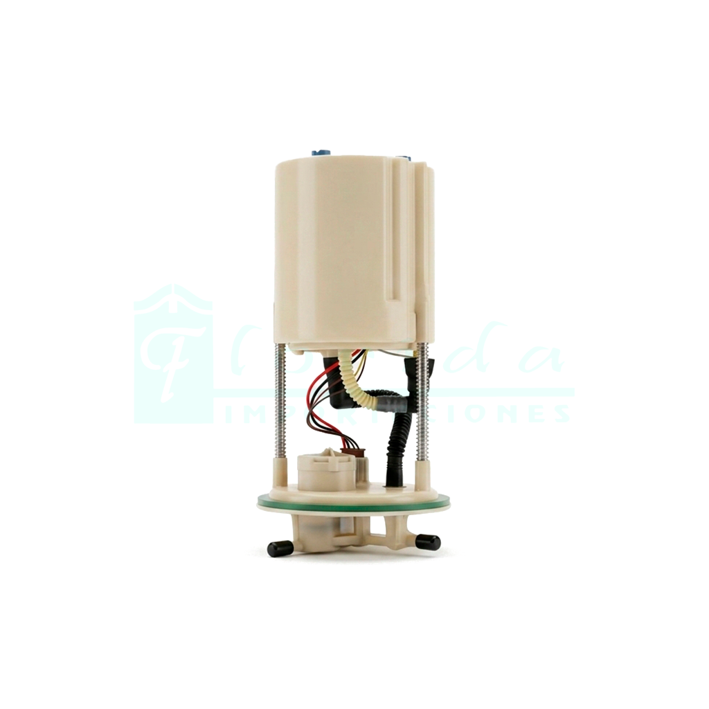 BOMBA GAS. COMPL. EON 800 CC