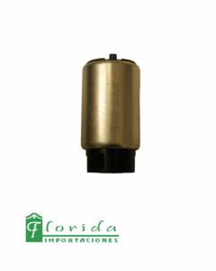 BOMBA GASOLINA PILA