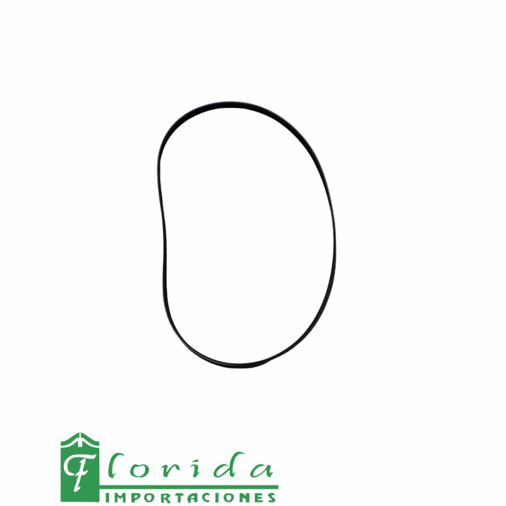 CORREA ALT. GRAND I-10/JAC J3