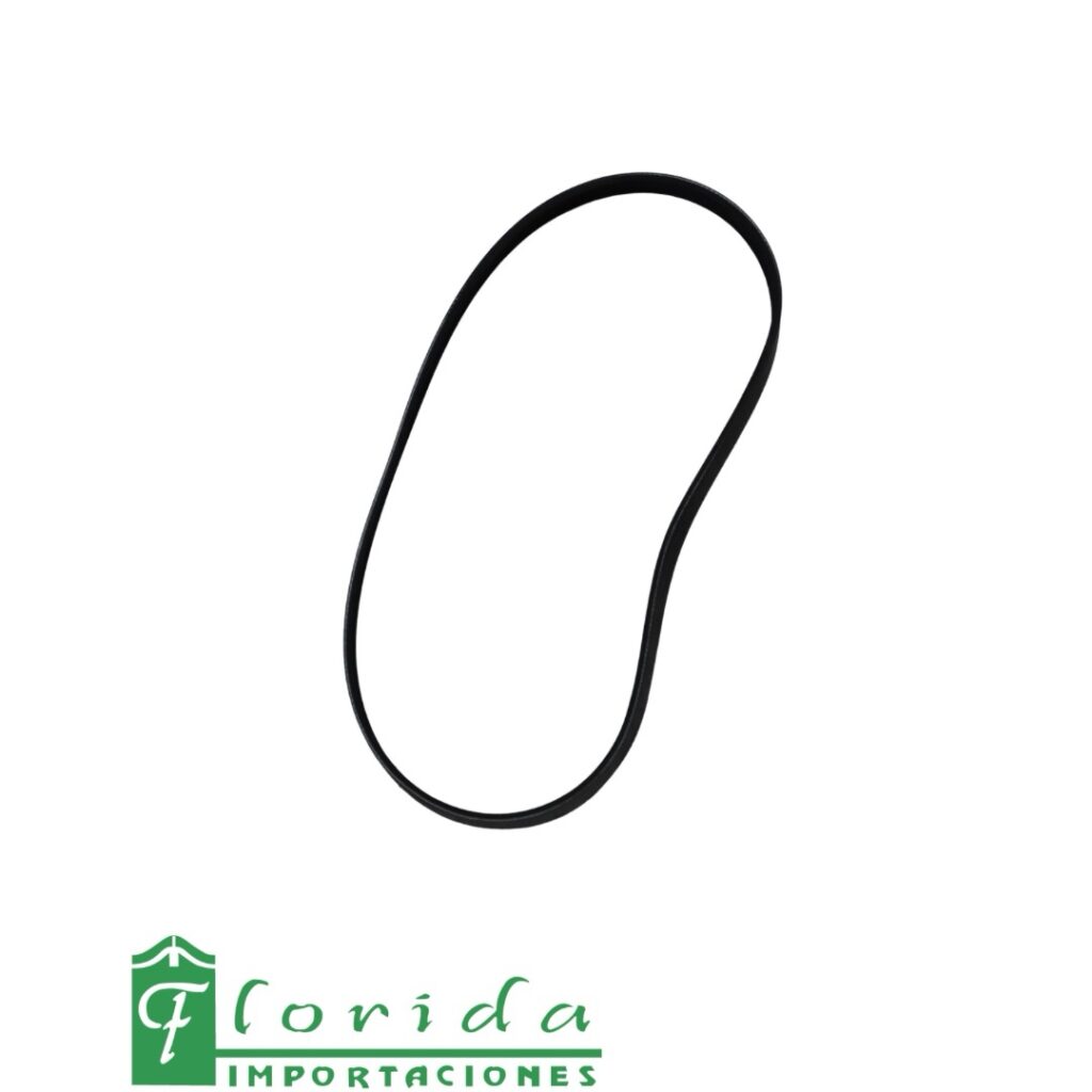 CORREA ACCESORIOS ION 1.0 CC (SIN A.A)(25212-04011)