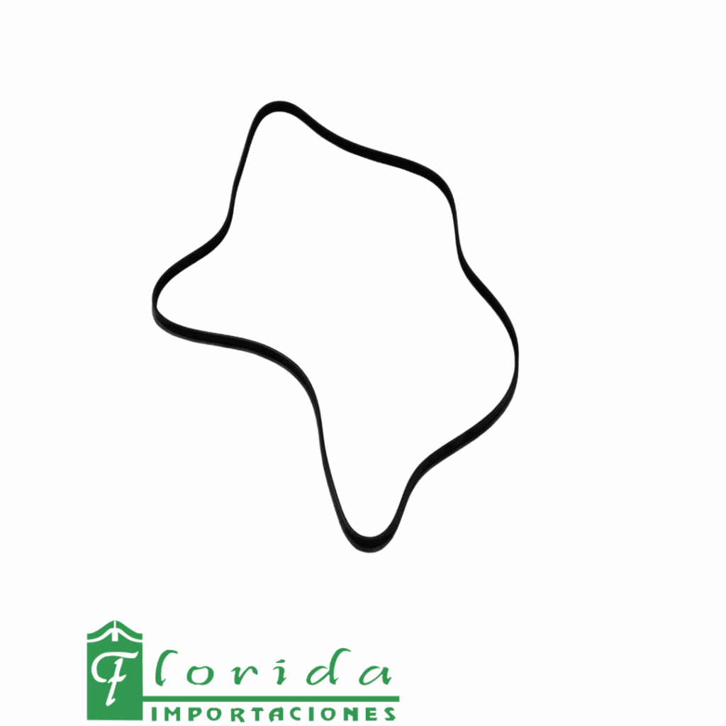 CORREA ALT. FORD ECOSPORT (ACCESORIOS)