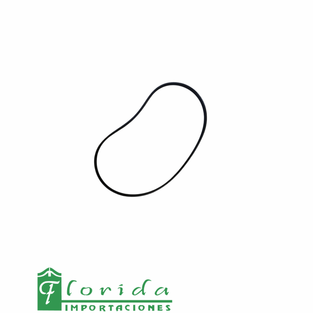 CORREA ALT. CITIUS
